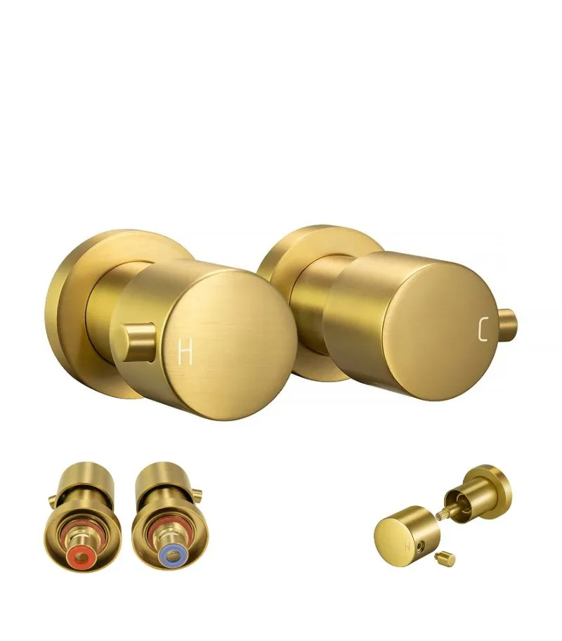 Aqua Brass Wall Top Assembly - Brushed Brass