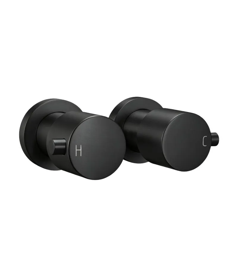 Aqua Brass Wall Top Assembly - Matte Black