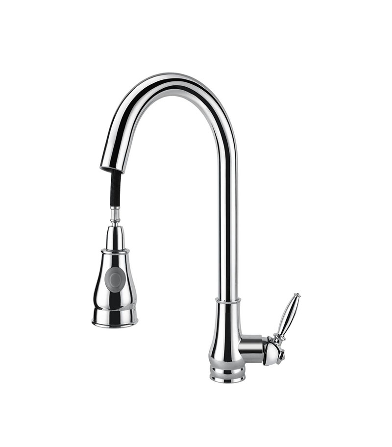 Aqua Fed Chrome Pull Out Goosenck Kitchen Mixer With Spout Pulling Out