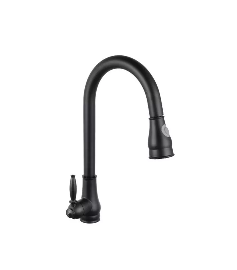 Aqua Fed Matt Black Pull Out Goosenck Kitchen Mixer