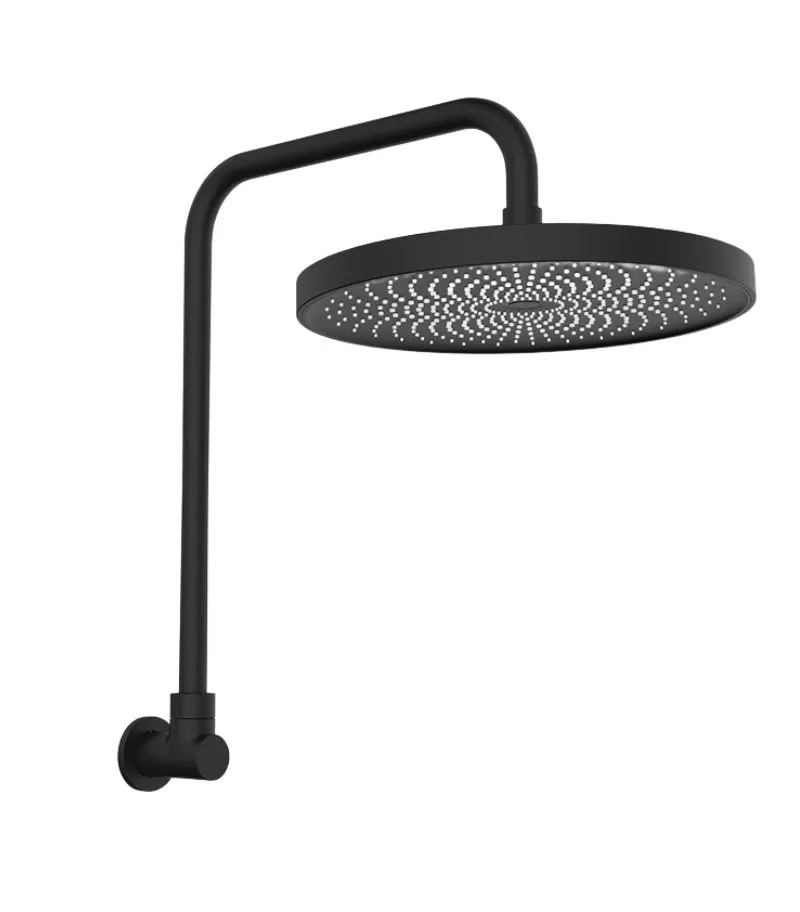 Gabe Matt Black Shower Head With Arm