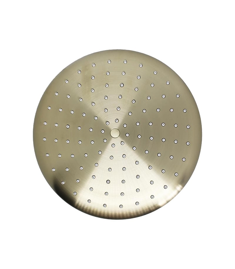 Loui Brushed Gold Shower Head With Arm