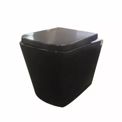 Concealed Wall Faced Floor Mounted Gloss Black Toilet Pan 103