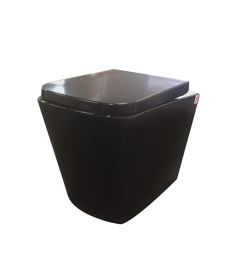 Concealed Wall Faced Floor Mounted Gloss Black Toilet Pan 103