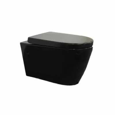 Concealed Wall Hung Black Toilet Pan 302