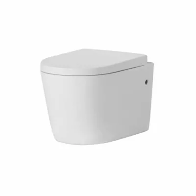 Concealed Wall Hung Rimless Toilet Pan 302