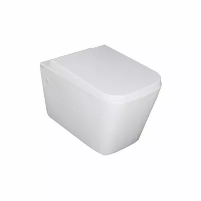 Concealed Wall Hung Toilet Pan 303