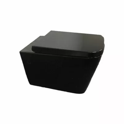 Concealed Wall Hung Toilet Black Pan 303