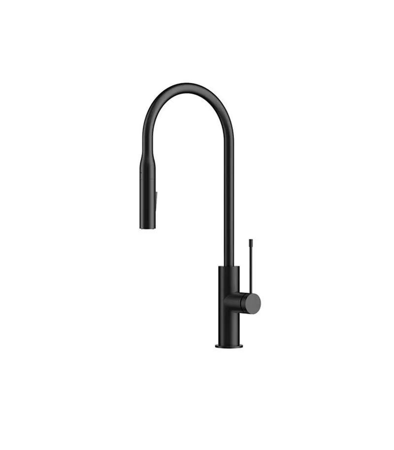 Aziz Matt Black Pull Out Kitchen Mixer PCC1002MB