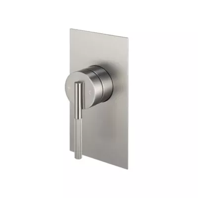 CADDENCE Brushed Nickel Wall Mixer
