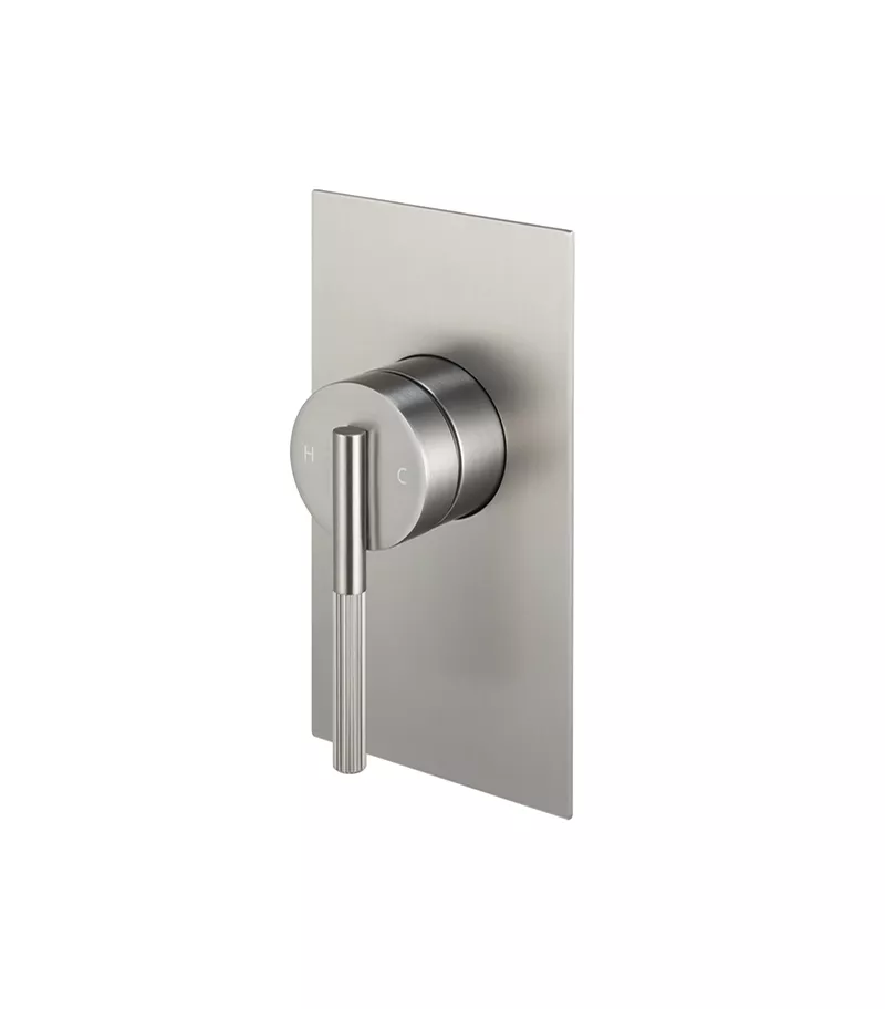 CADDENCE Brushed Nickel Wall Mixer