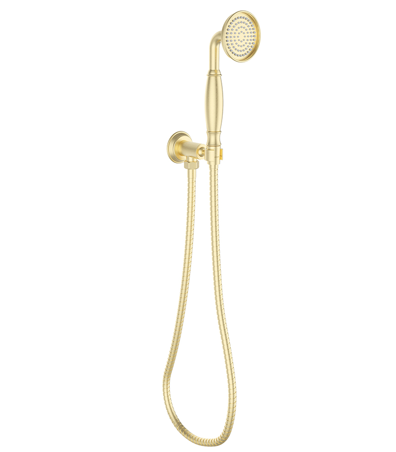 Clasico Brushed Gold Hand Shower HPA868-101-1BG