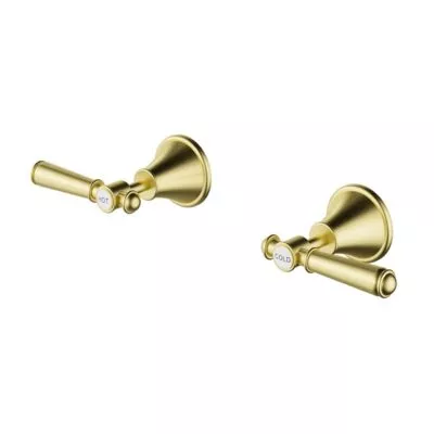 Clasico Solid Handle Wall Top Assembly - Brushed Gold